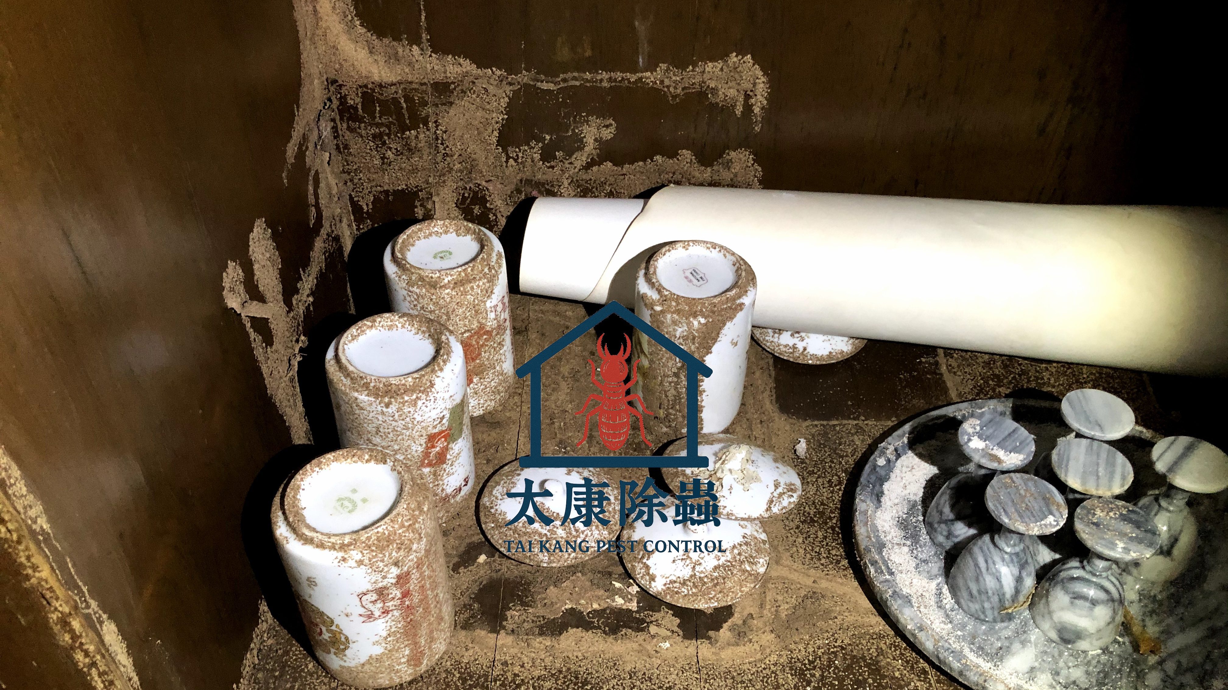 一個室內櫃子裡的白蟻活動跡象，地面上有白色外殼和木屑，顯示出白蟻侵蝕的情況，周圍有一些陶杯和石材擺件，背景為深色木材。