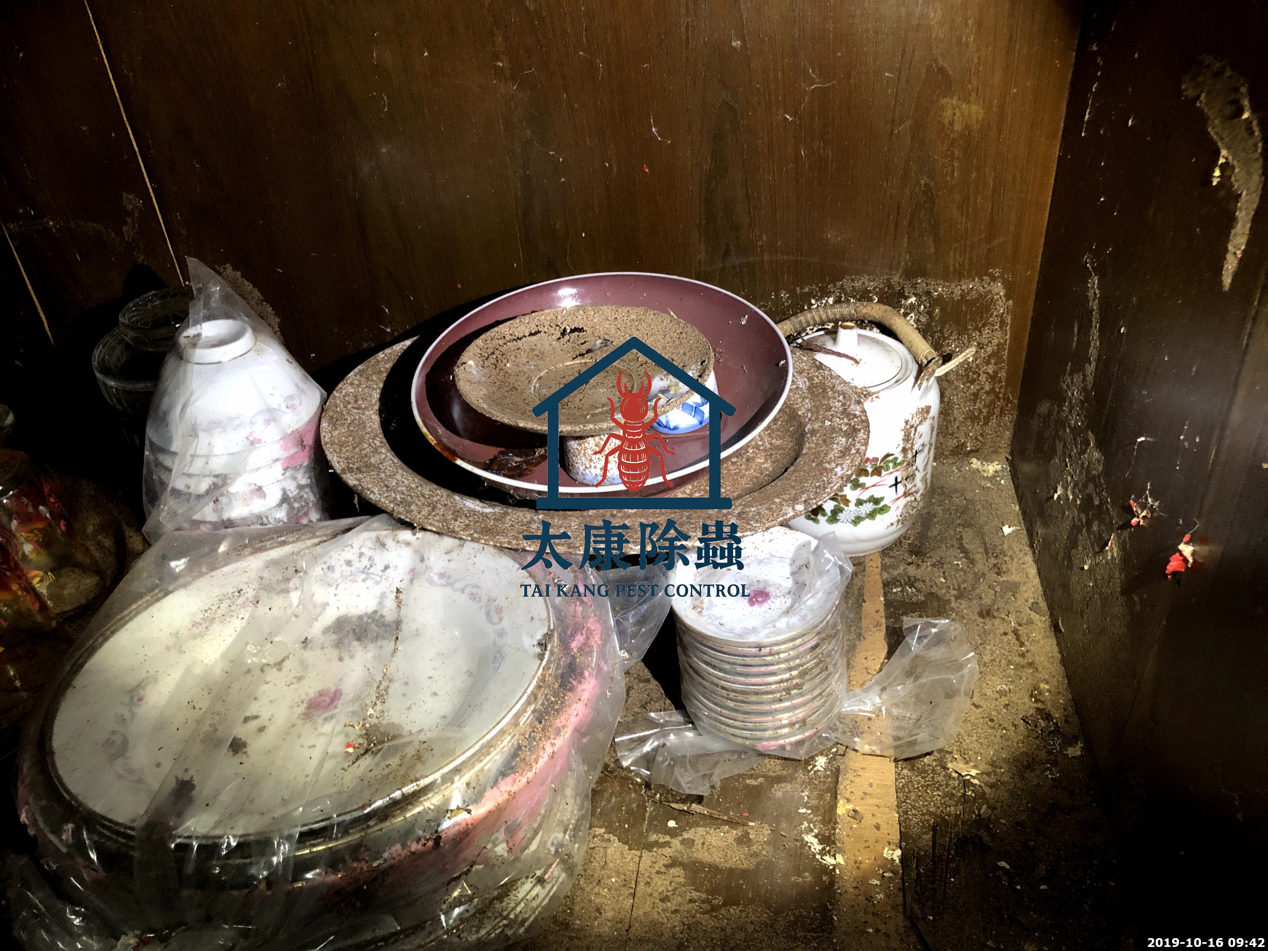 被白蟻留下排泄物的盤子