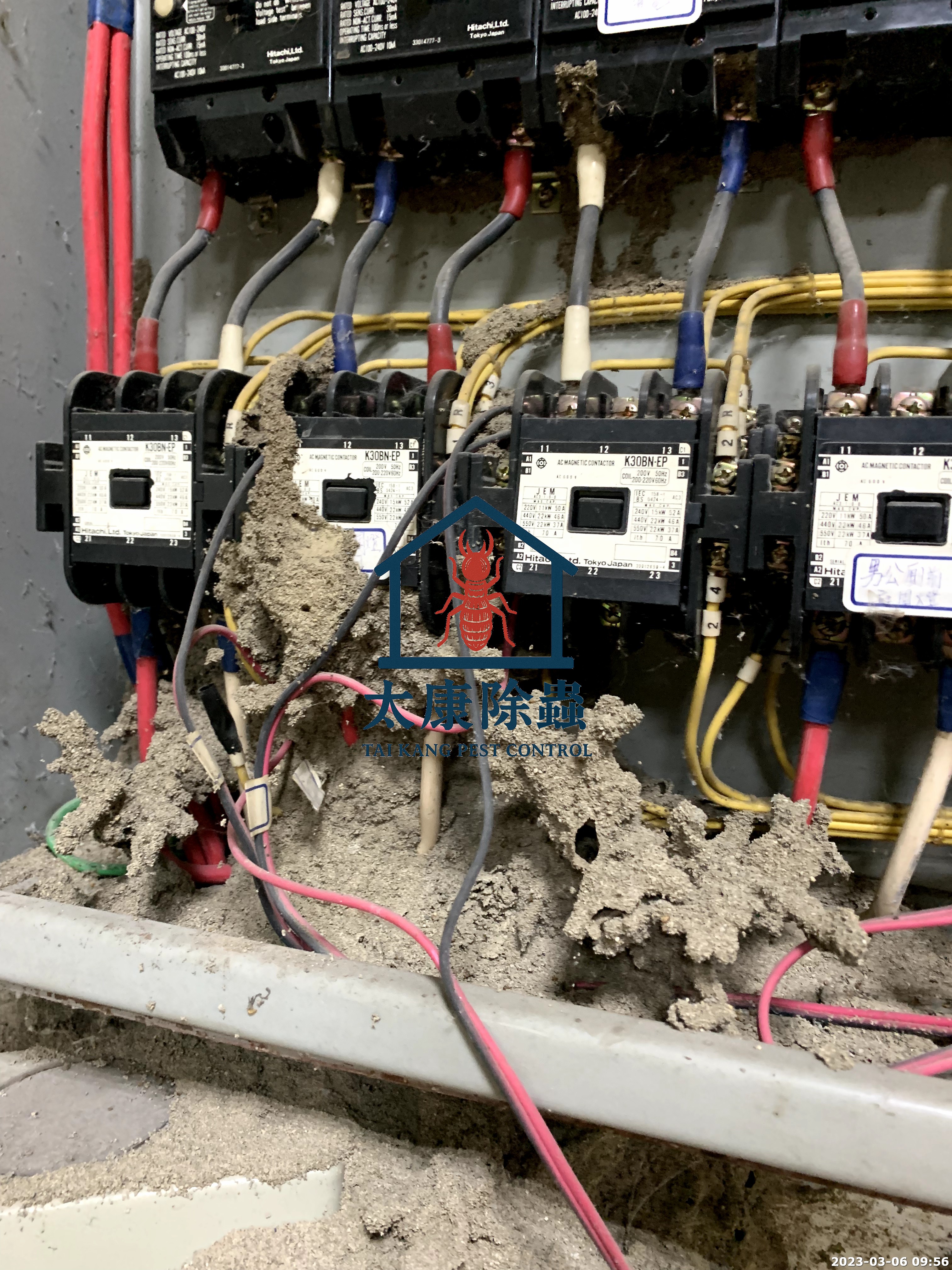嚴重的白蟻危害影響電路做動