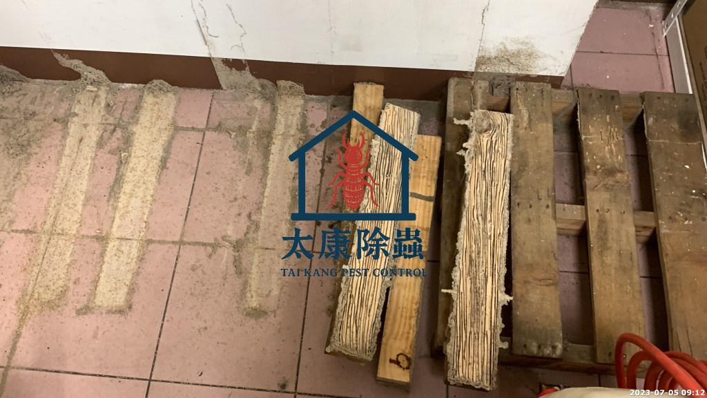 白蟻特寫照片，居家常見的害蟲
白蟻咬食木材，家具受損情況
專業技師施作白蟻防治藥劑
白蟻防治藥劑注射施工實拍
白蟻餌劑安裝照片，高雄白蟻防治案例
白蟻蛀蝕地板的實際案例
系統櫃被白蟻啃蝕，高雄仁武案例
裝潢木作遭白蟻破壞，專業防治需求

