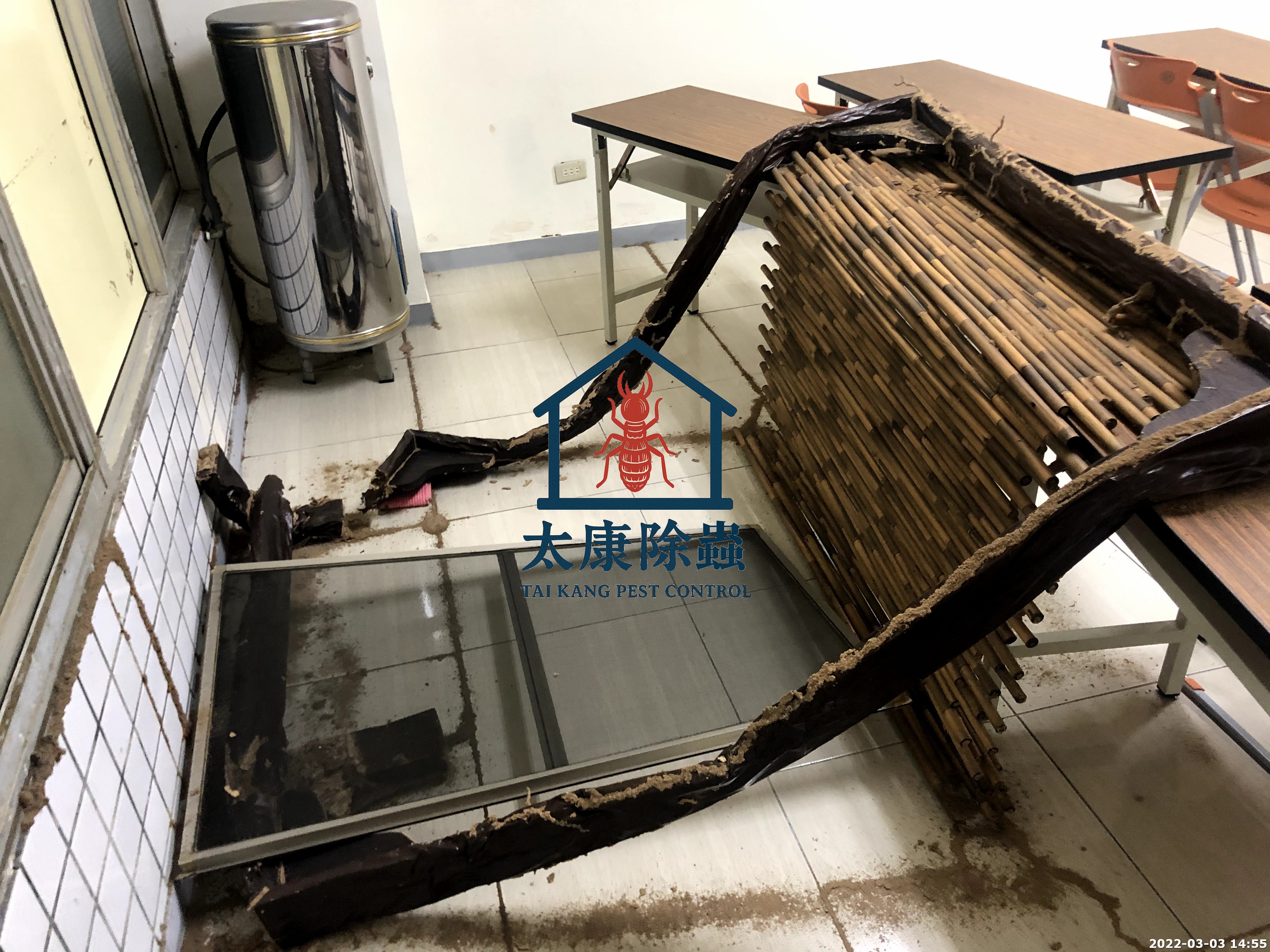 被白蟻肯到斷掉的裝潢