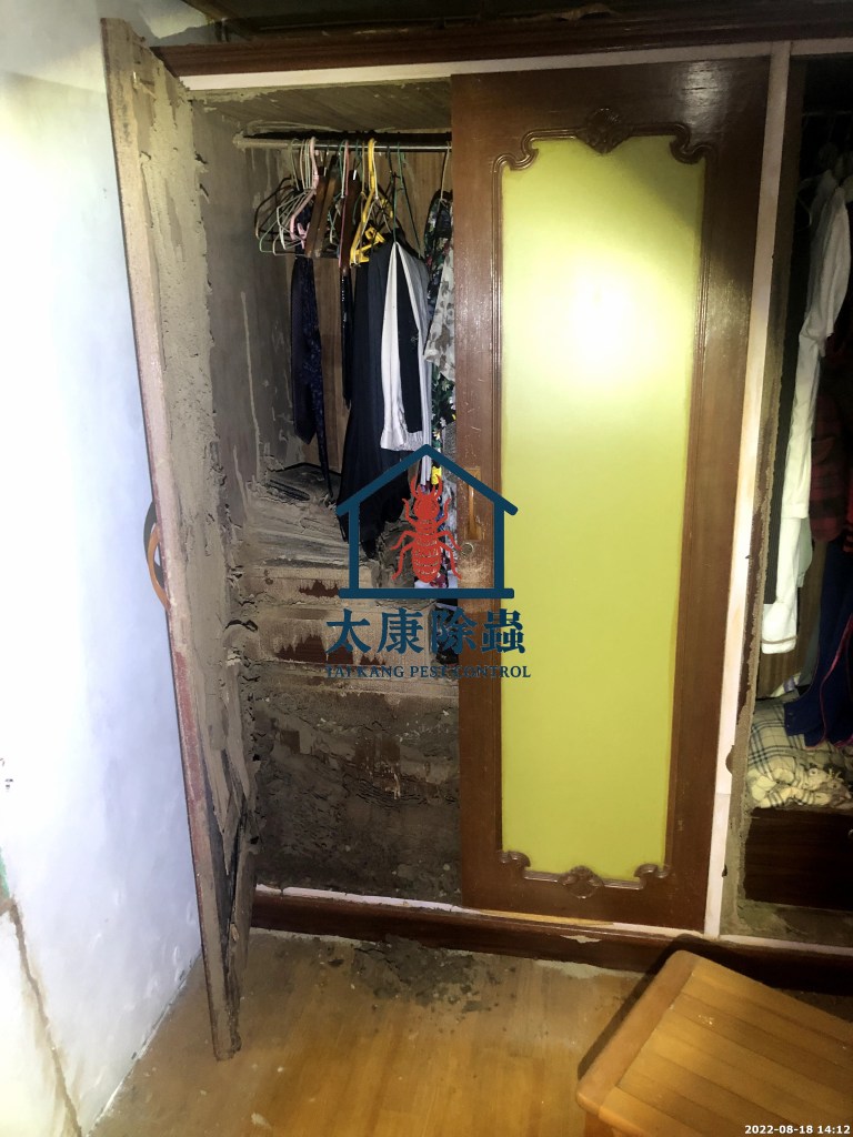 白蟻侵蝕裝潢不只隱蔽 速度還很快 常見情況沒幾週就將裝潢啃食殆盡