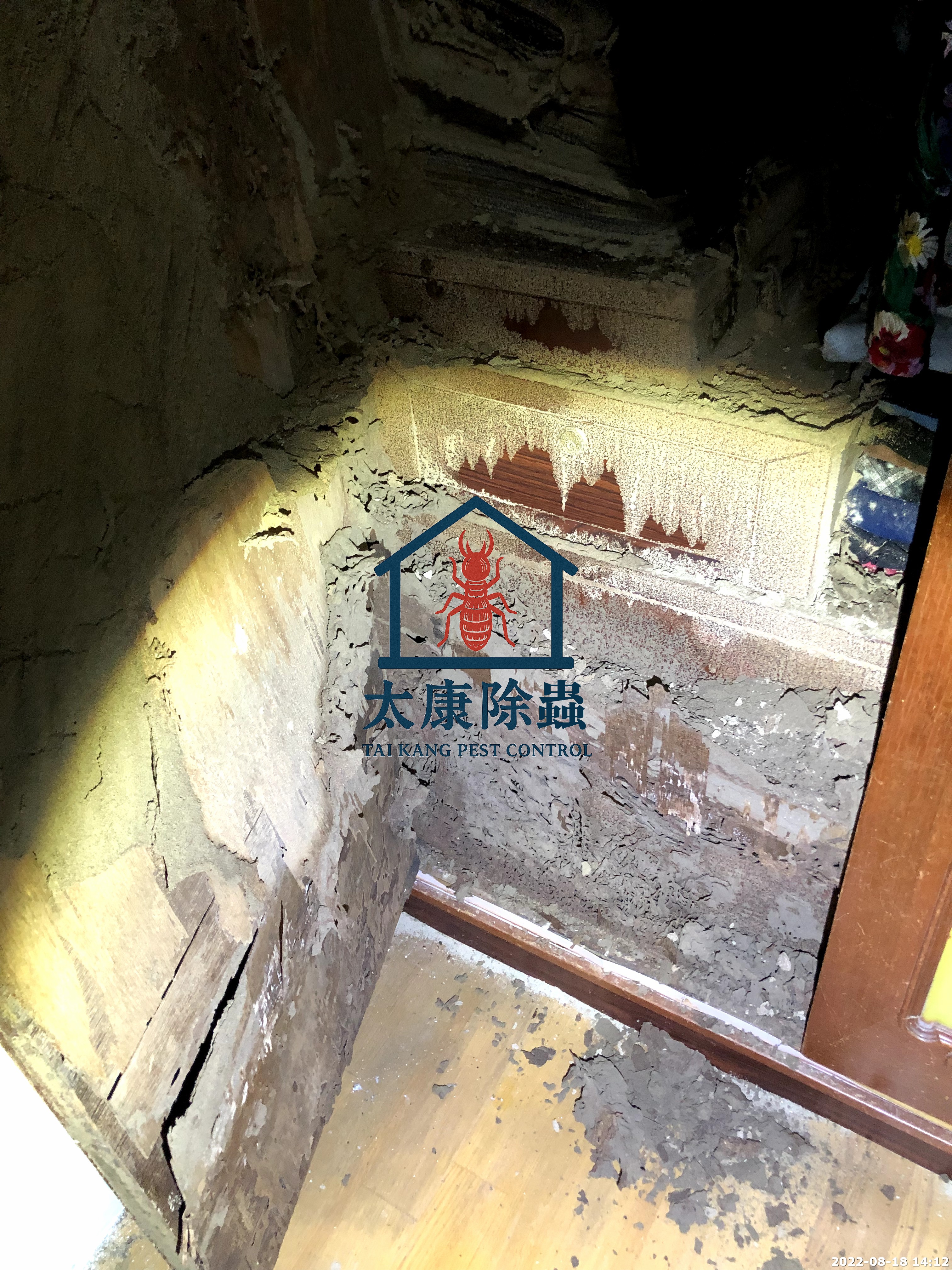 高雄市新興區衣櫥長白蟻