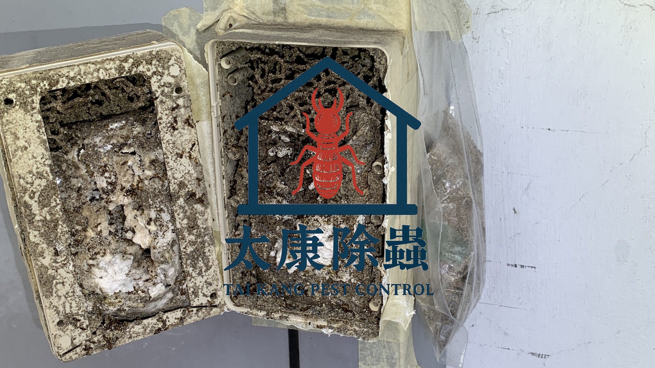 屋主剛搬進新家不到兩年，某天發現衣櫃底部有掉粉、牆角有細泥線。拆開後整面櫃體幾乎是「空心的」，內部已被白蟻蛀光。系統櫃雖是新裝潢，但未施作任何防蟲處理，導致白蟻橫行。