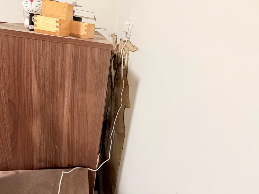 白蟻侵蝕裝潢不只隱蔽 速度還很快 常見情況沒幾週就將裝潢啃食殆盡