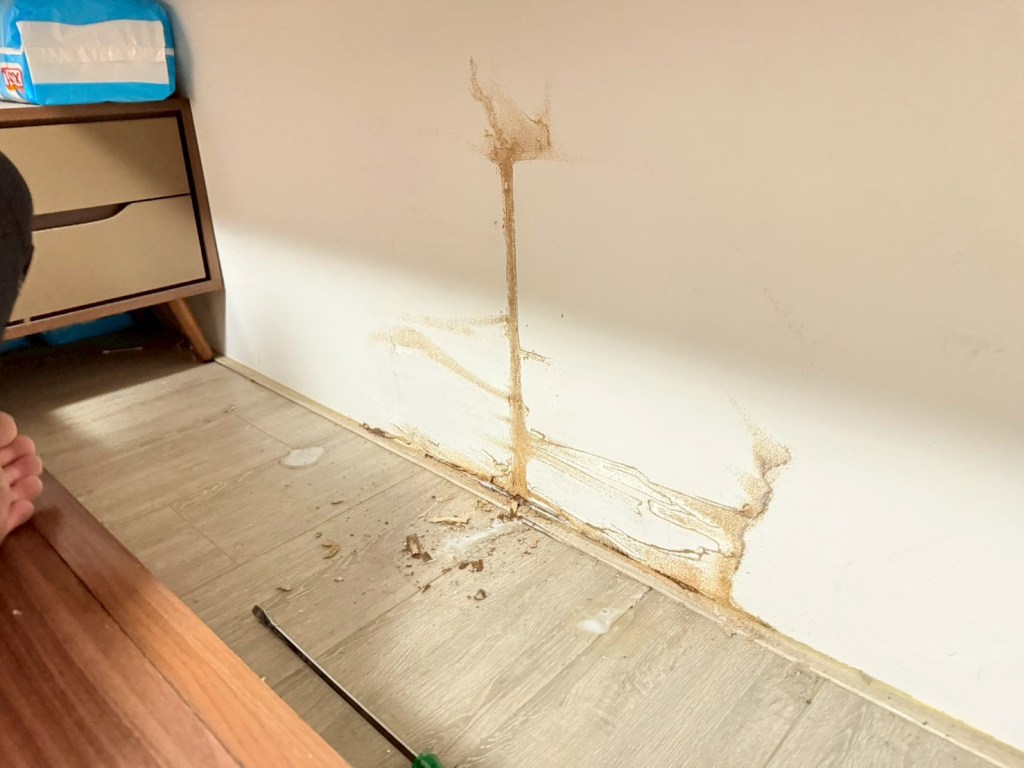 屋主發現系統櫃底部冒出粉末，起初以為是木屑，後來確認為白蟻造成的損害