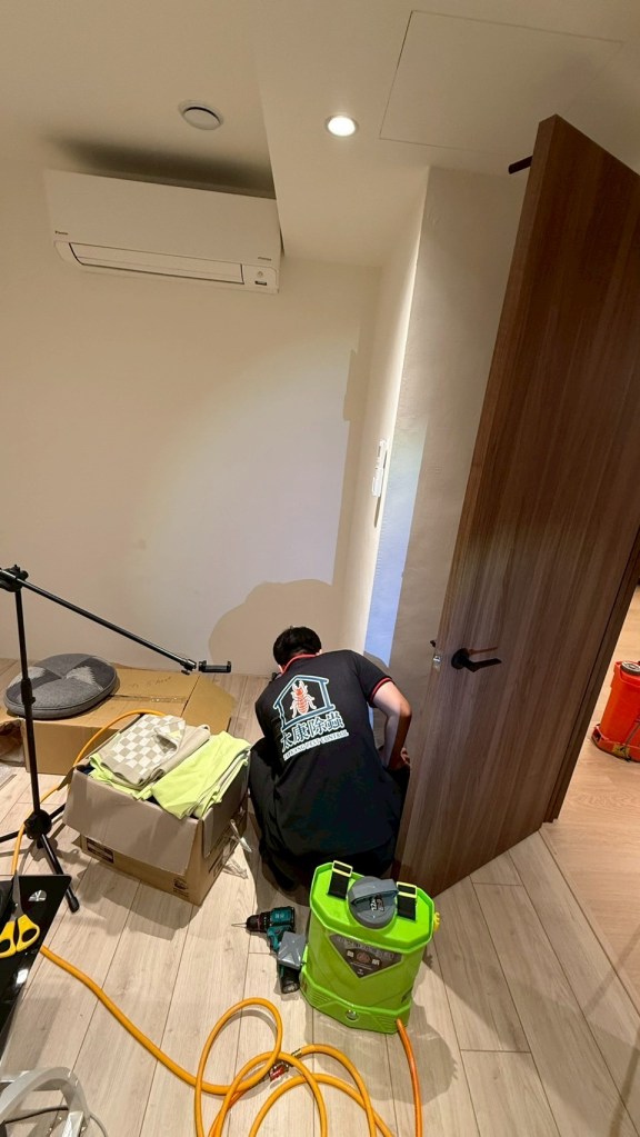 屋主在入住房屋半年後發現地板突起，內層木板被白蟻挖空