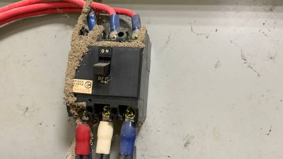 白蟻特寫照片，居家常見的害蟲
白蟻咬食木材，家具受損情況
專業技師施作白蟻防治藥劑
白蟻防治藥劑注射施工實拍
白蟻餌劑安裝照片，高雄白蟻防治案例
白蟻蛀蝕地板的實際案例
系統櫃被白蟻啃蝕，高雄仁武案例
裝潢木作遭白蟻破壞，專業防治需求
