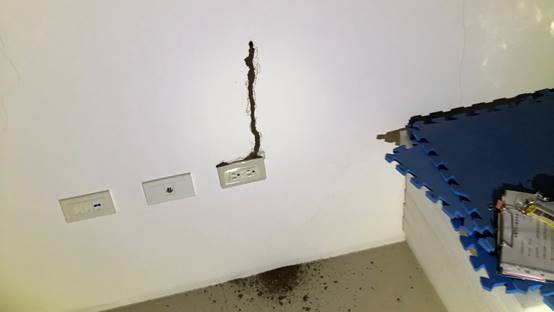 白蟻特寫照片，居家常見的害蟲
白蟻咬食木材，家具受損情況
專業技師施作白蟻防治藥劑
白蟻防治藥劑注射施工實拍
白蟻餌劑安裝照片，高雄白蟻防治案例
白蟻蛀蝕地板的實際案例
系統櫃被白蟻啃蝕，高雄仁武案例
裝潢木作遭白蟻破壞，專業防治需求
