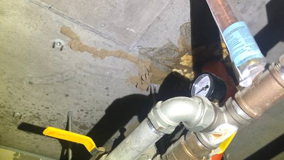 白蟻特寫照片，居家常見的害蟲
白蟻咬食木材，家具受損情況
專業技師施作白蟻防治藥劑
白蟻防治藥劑注射施工實拍
白蟻餌劑安裝照片，高雄白蟻防治案例
白蟻蛀蝕地板的實際案例
系統櫃被白蟻啃蝕，高雄仁武案例
裝潢木作遭白蟻破壞，專業防治需求
