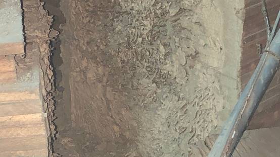 白蟻特寫照片，居家常見的害蟲
白蟻咬食木材，家具受損情況
專業技師施作白蟻防治藥劑
白蟻防治藥劑注射施工實拍
白蟻餌劑安裝照片，高雄白蟻防治案例
白蟻蛀蝕地板的實際案例
系統櫃被白蟻啃蝕，高雄仁武案例
裝潢木作遭白蟻破壞，專業防治需求
