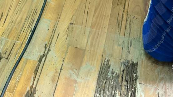 白蟻特寫照片，居家常見的害蟲
白蟻咬食木材，家具受損情況
專業技師施作白蟻防治藥劑
白蟻防治藥劑注射施工實拍
白蟻餌劑安裝照片，高雄白蟻防治案例
白蟻蛀蝕地板的實際案例
系統櫃被白蟻啃蝕，高雄仁武案例
裝潢木作遭白蟻破壞，專業防治需求
