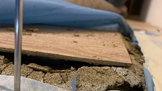 白蟻特寫照片，居家常見的害蟲
白蟻咬食木材，家具受損情況
專業技師施作白蟻防治藥劑
白蟻防治藥劑注射施工實拍
白蟻餌劑安裝照片，高雄白蟻防治案例
白蟻蛀蝕地板的實際案例
系統櫃被白蟻啃蝕，高雄仁武案例
裝潢木作遭白蟻破壞，專業防治需求
