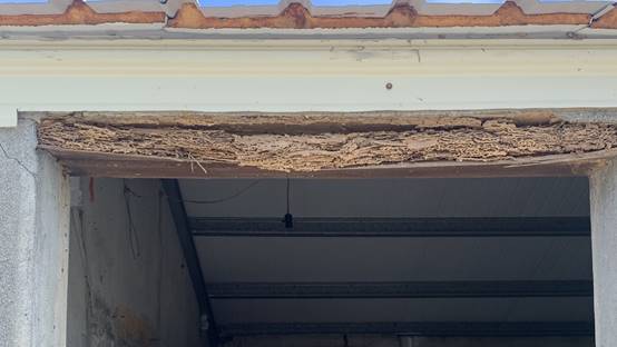 白蟻特寫照片，居家常見的害蟲
白蟻咬食木材，家具受損情況
專業技師施作白蟻防治藥劑
白蟻防治藥劑注射施工實拍
白蟻餌劑安裝照片，高雄白蟻防治案例
白蟻蛀蝕地板的實際案例
系統櫃被白蟻啃蝕，高雄仁武案例
裝潢木作遭白蟻破壞，專業防治需求
