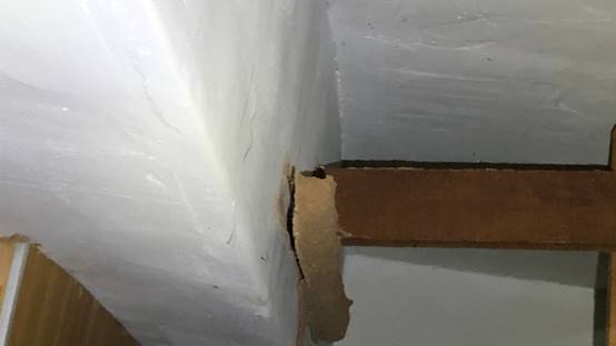 白蟻特寫照片，居家常見的害蟲
白蟻咬食木材，家具受損情況
專業技師施作白蟻防治藥劑
白蟻防治藥劑注射施工實拍
白蟻餌劑安裝照片，高雄白蟻防治案例
白蟻蛀蝕地板的實際案例
系統櫃被白蟻啃蝕，高雄仁武案例
裝潢木作遭白蟻破壞，專業防治需求
