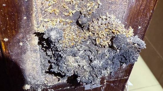 白蟻特寫照片，居家常見的害蟲
白蟻咬食木材，家具受損情況
專業技師施作白蟻防治藥劑
白蟻防治藥劑注射施工實拍
白蟻餌劑安裝照片，高雄白蟻防治案例
白蟻蛀蝕地板的實際案例
系統櫃被白蟻啃蝕，高雄仁武案例
裝潢木作遭白蟻破壞，專業防治需求
