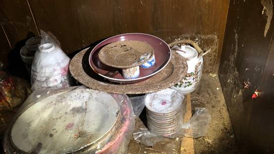 白蟻特寫照片，居家常見的害蟲
白蟻咬食木材，家具受損情況
專業技師施作白蟻防治藥劑
白蟻防治藥劑注射施工實拍
白蟻餌劑安裝照片，高雄白蟻防治案例
白蟻蛀蝕地板的實際案例
系統櫃被白蟻啃蝕，高雄仁武案例
裝潢木作遭白蟻破壞，專業防治需求
