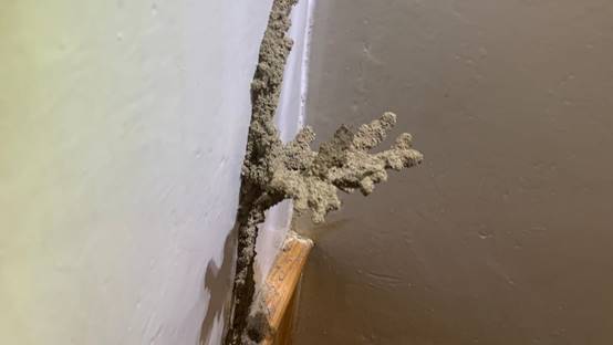 白蟻特寫照片，居家常見的害蟲
白蟻咬食木材，家具受損情況
專業技師施作白蟻防治藥劑
白蟻防治藥劑注射施工實拍
白蟻餌劑安裝照片，高雄白蟻防治案例
白蟻蛀蝕地板的實際案例
系統櫃被白蟻啃蝕，高雄仁武案例
裝潢木作遭白蟻破壞，專業防治需求
