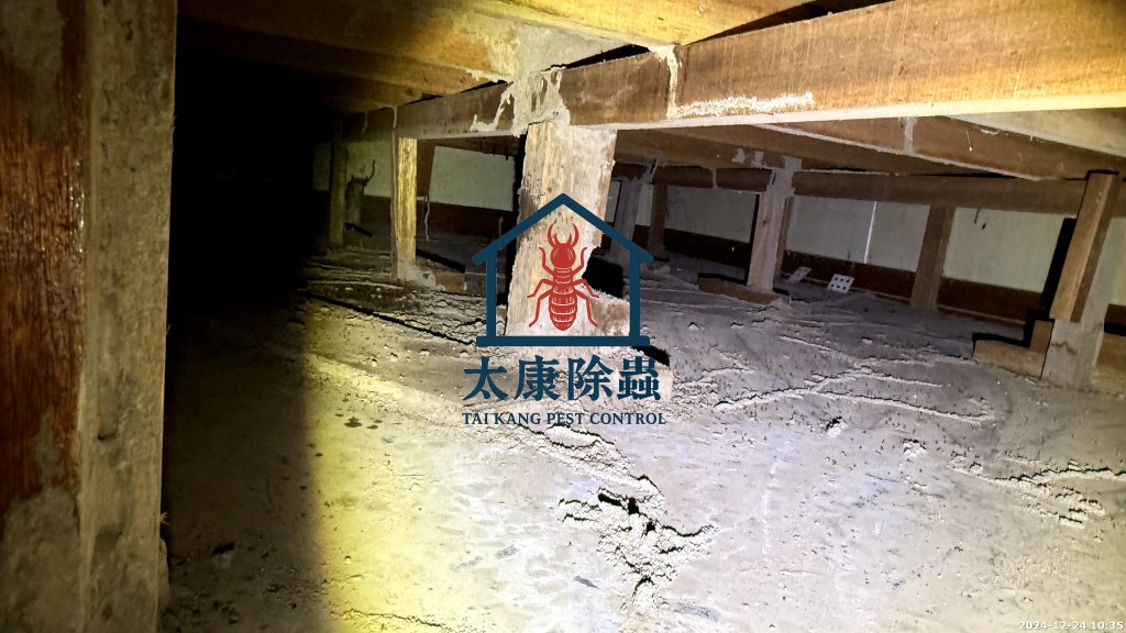 鳳山區
裝潢白蟻
移除受損木料、牆體鑽孔灌注、長期餌劑站佈署
根治蟻巢，保固追蹤 3 年無回侵