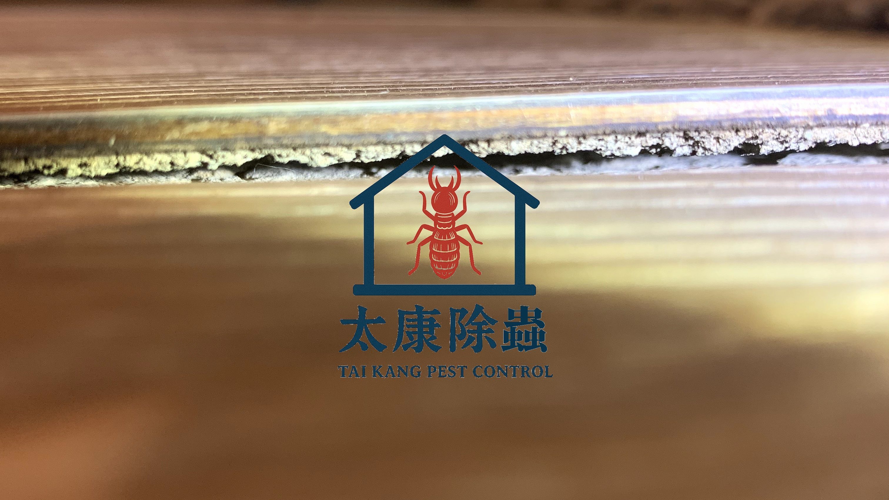 5.木製家具或建築油漆斑駁、不平：除了可能是因為潮濕，也有可能是因為白蟻入侵而造成。