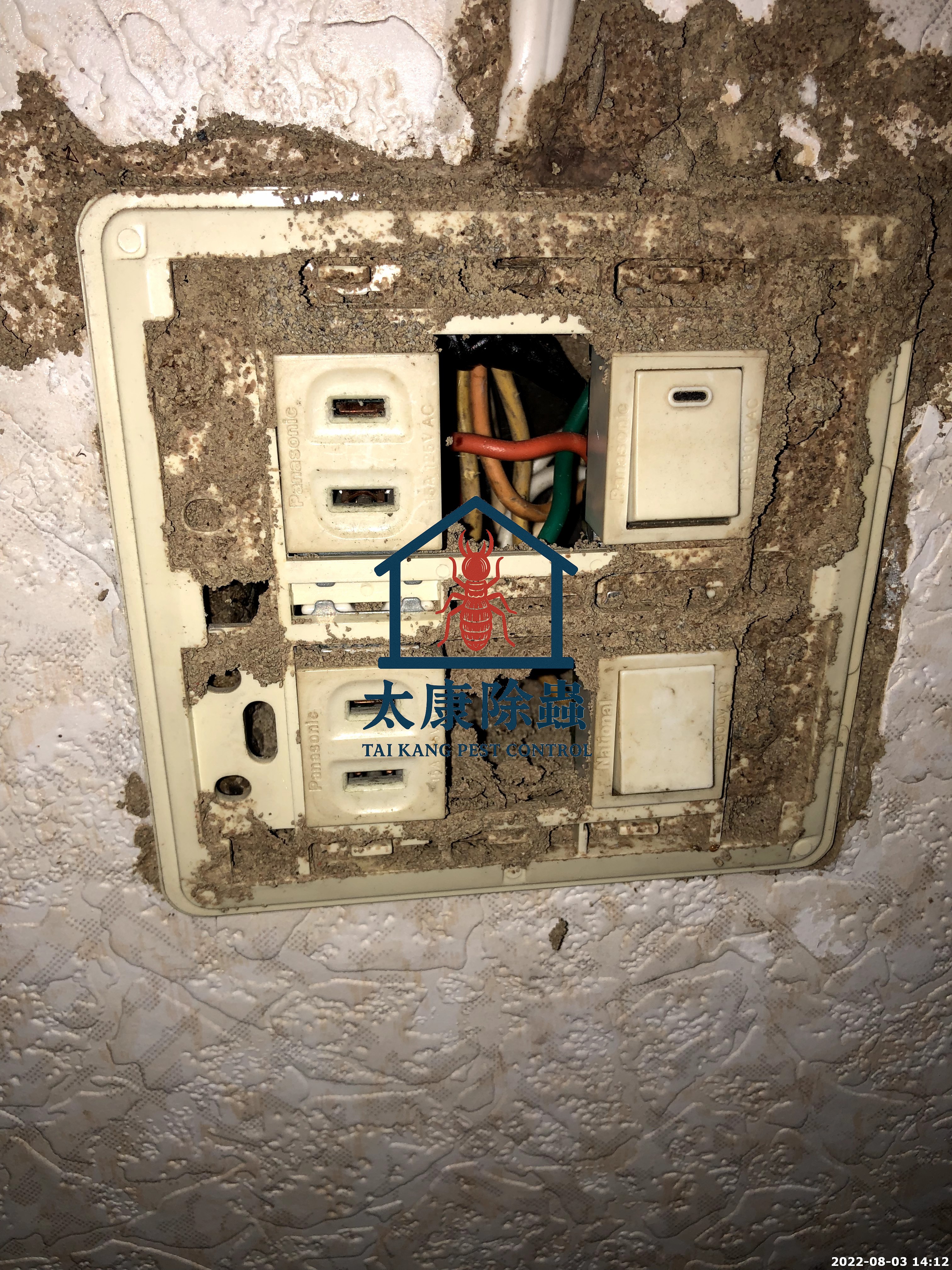 白蟻入侵電線孔位