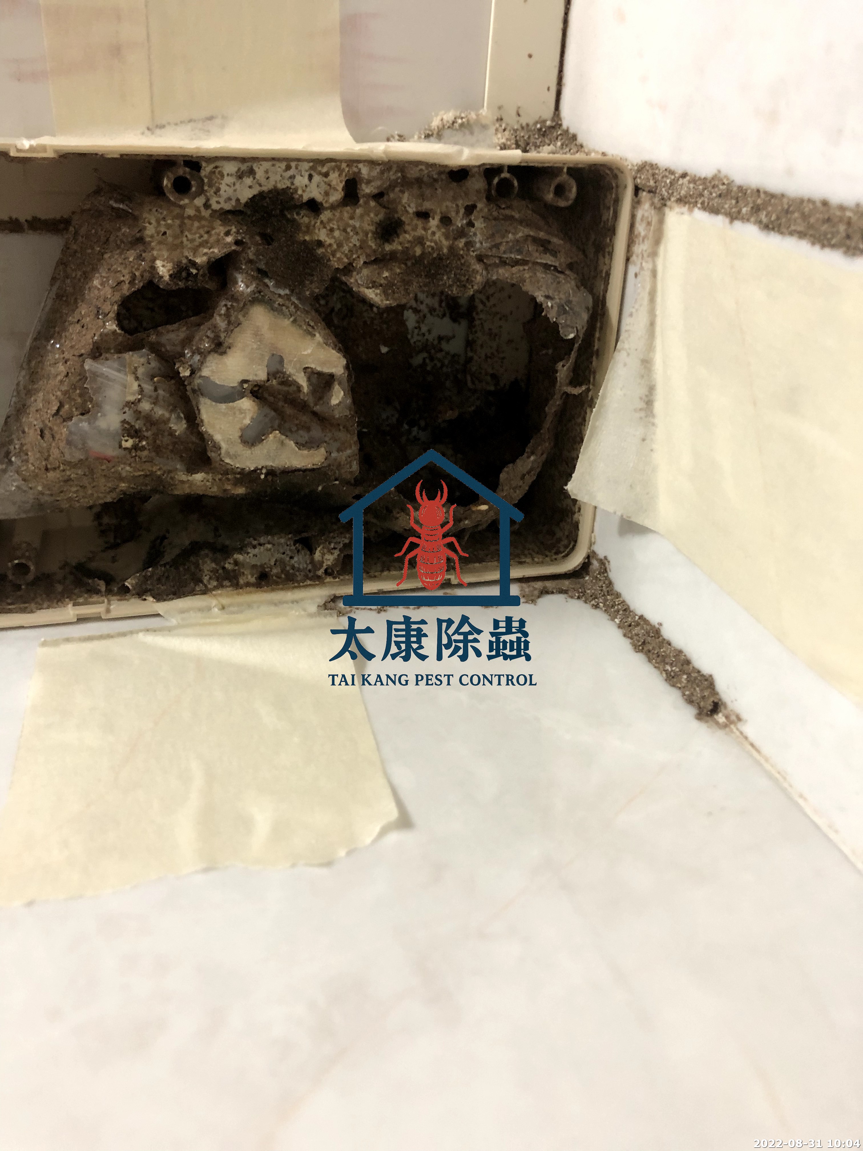 白蟻滅巢餌劑 被取食後的樣子