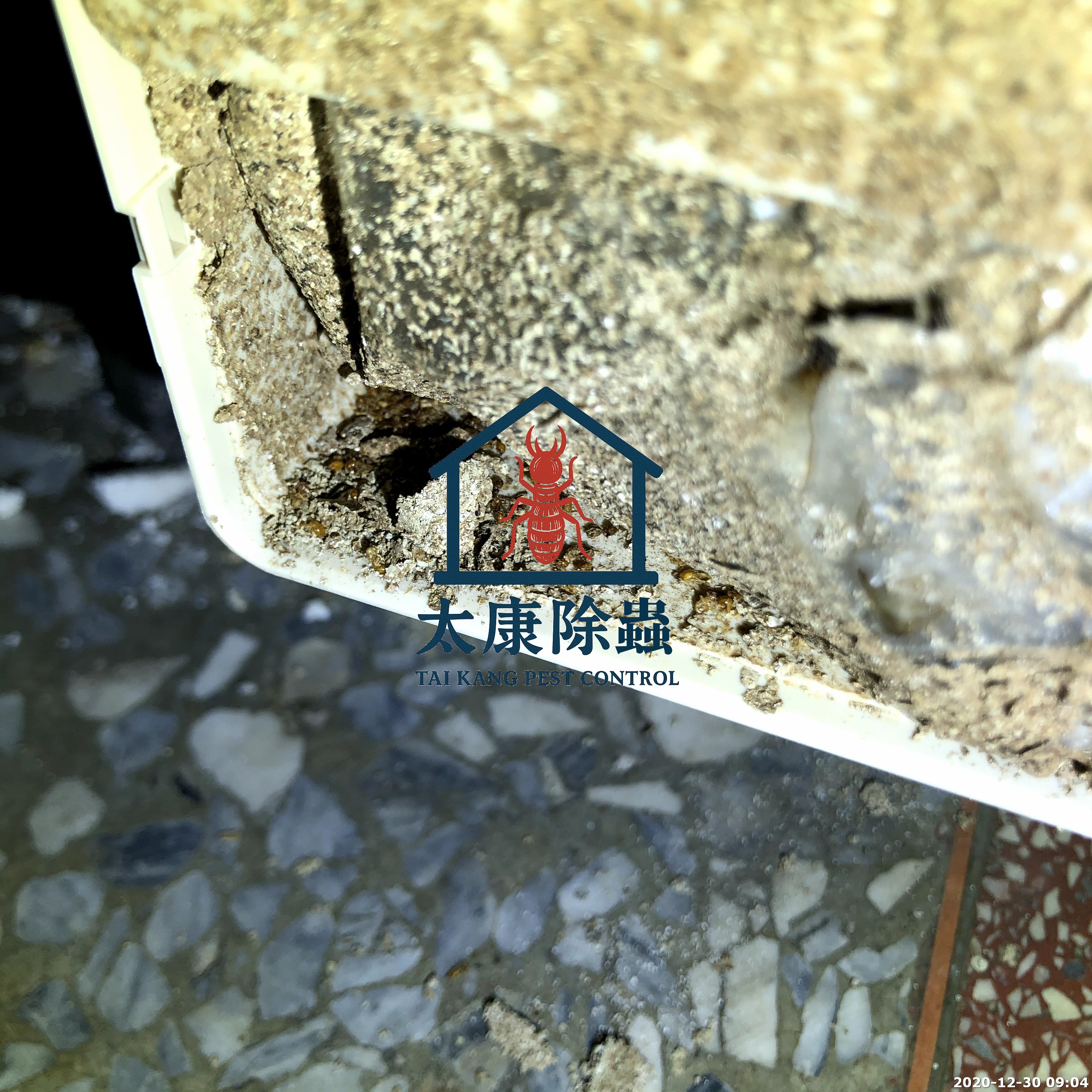 消滅白蟻滅巢餌劑