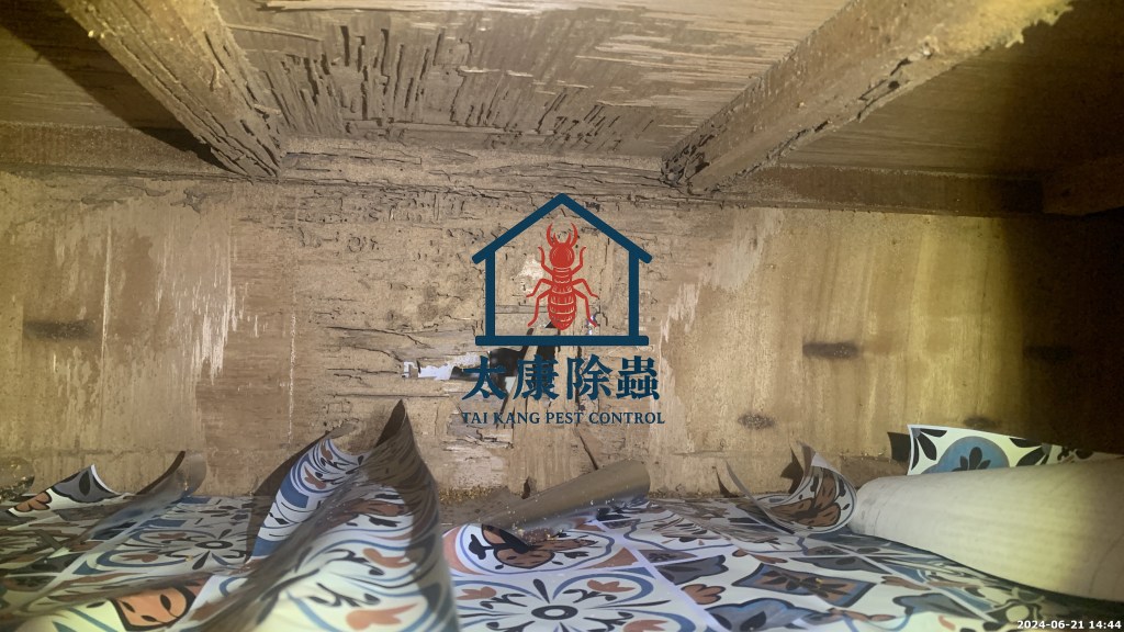 2.木製家具損壞：白蟻會吃木材，如果木製家具外觀破損，或是敲打時是中空的聲音表示白蟻可能正在破壞。