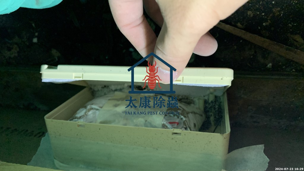 白蟻餌劑是一種目前國際上很常用、效果穩定的白蟻防治方法。它的原理並不是直接噴藥殺蟲，而是透過「誘食 → 傳播 → 滅巢」的機制，讓白蟻自己把毒帶回巢穴，進而達到全面根除的效果