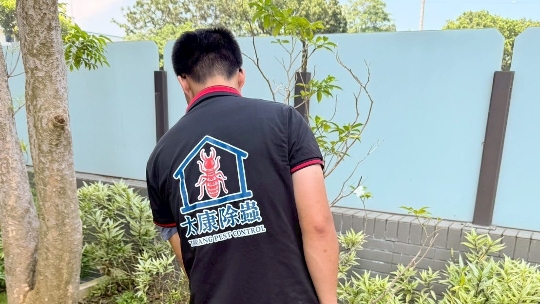 白蟻特寫照片，居家常見的害蟲
白蟻咬食木材，家具受損情況
專業技師施作白蟻防治藥劑
白蟻防治藥劑注射施工實拍
白蟻餌劑安裝照片，高雄白蟻防治案例
白蟻蛀蝕地板的實際案例
系統櫃被白蟻啃蝕，高雄仁武案例
裝潢木作遭白蟻破壞，專業防治需求
