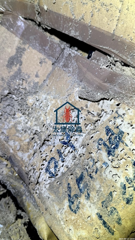 左營區
社區公共區域蟑螂
地下室、垃圾集中場，採用大面積殘效噴灑
藥效持久，顯著改善公共空間衛生