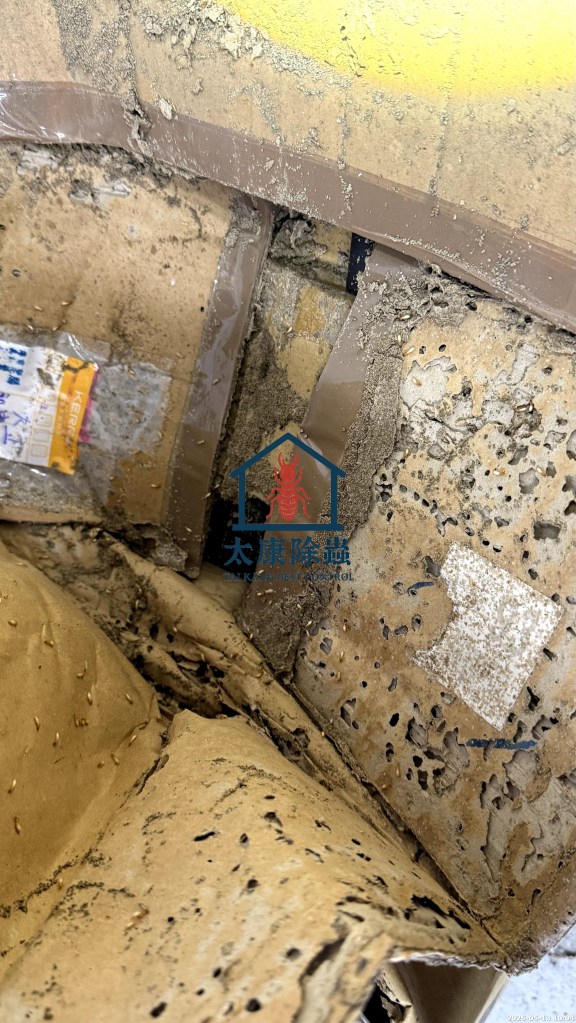 左營區
社區公共區域蟑螂
地下室、垃圾集中場，採用大面積殘效噴灑
藥效持久，顯著改善公共空間衛生