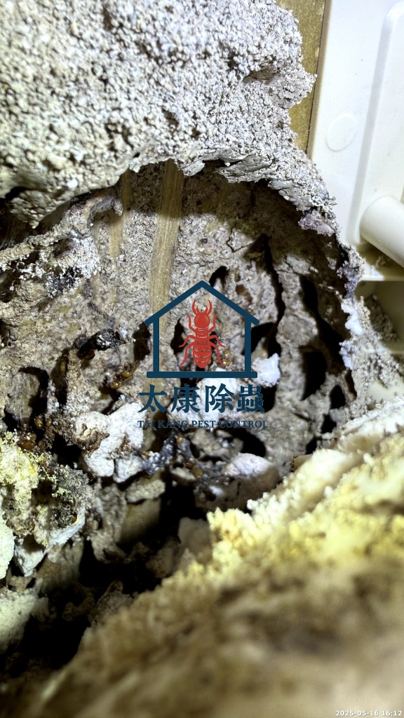 左營區
社區公共區域蟑螂
地下室、垃圾集中場，採用大面積殘效噴灑
藥效持久，顯著改善公共空間衛生