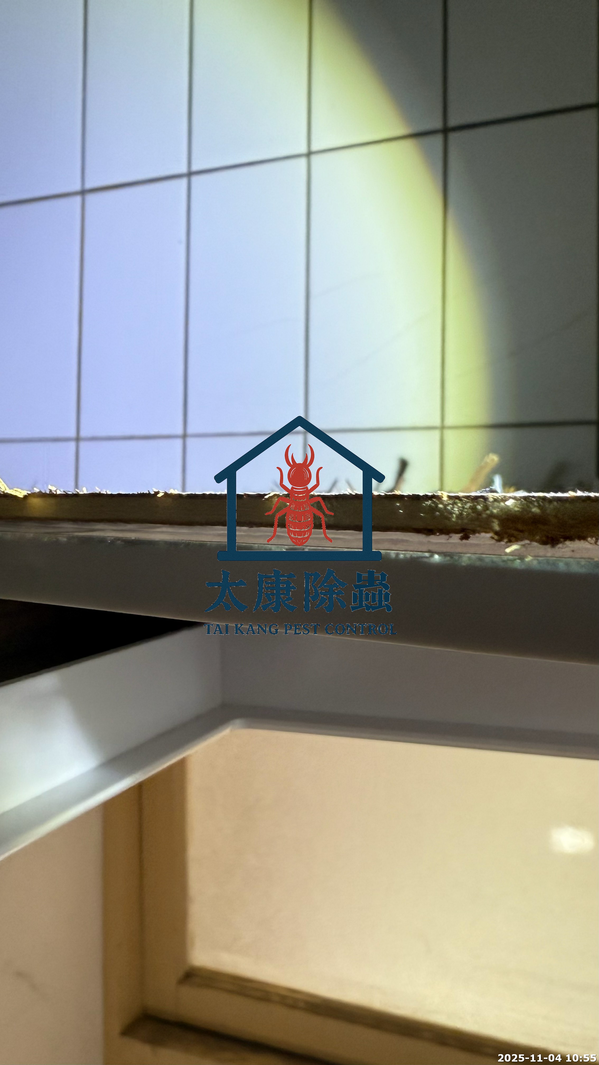 白蟻處理中 施工人員需在不破壞裝潢的前提下 廣泛施佈藥劑 