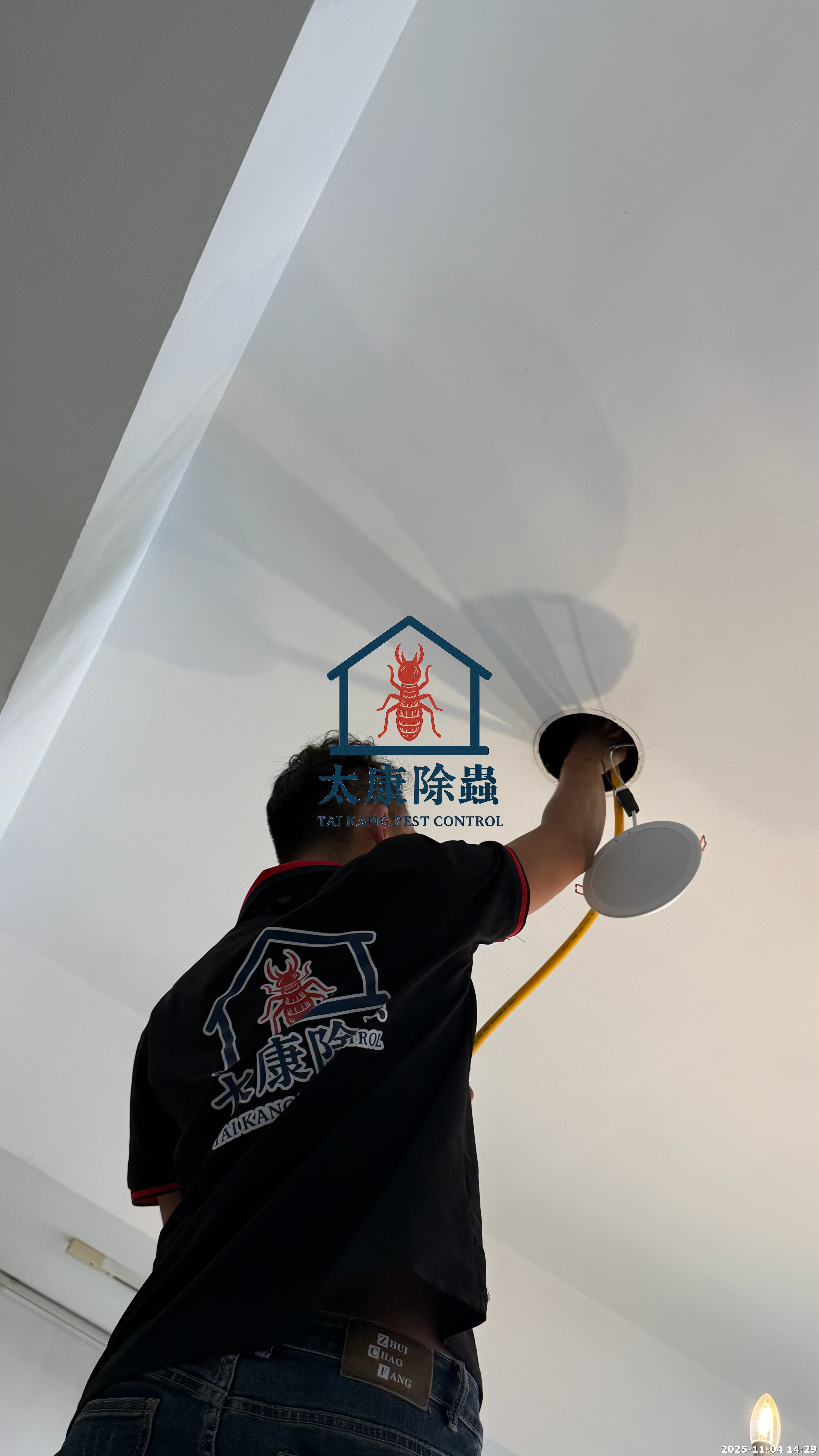 白蟻施工必須細心與經驗才能保證杜絕