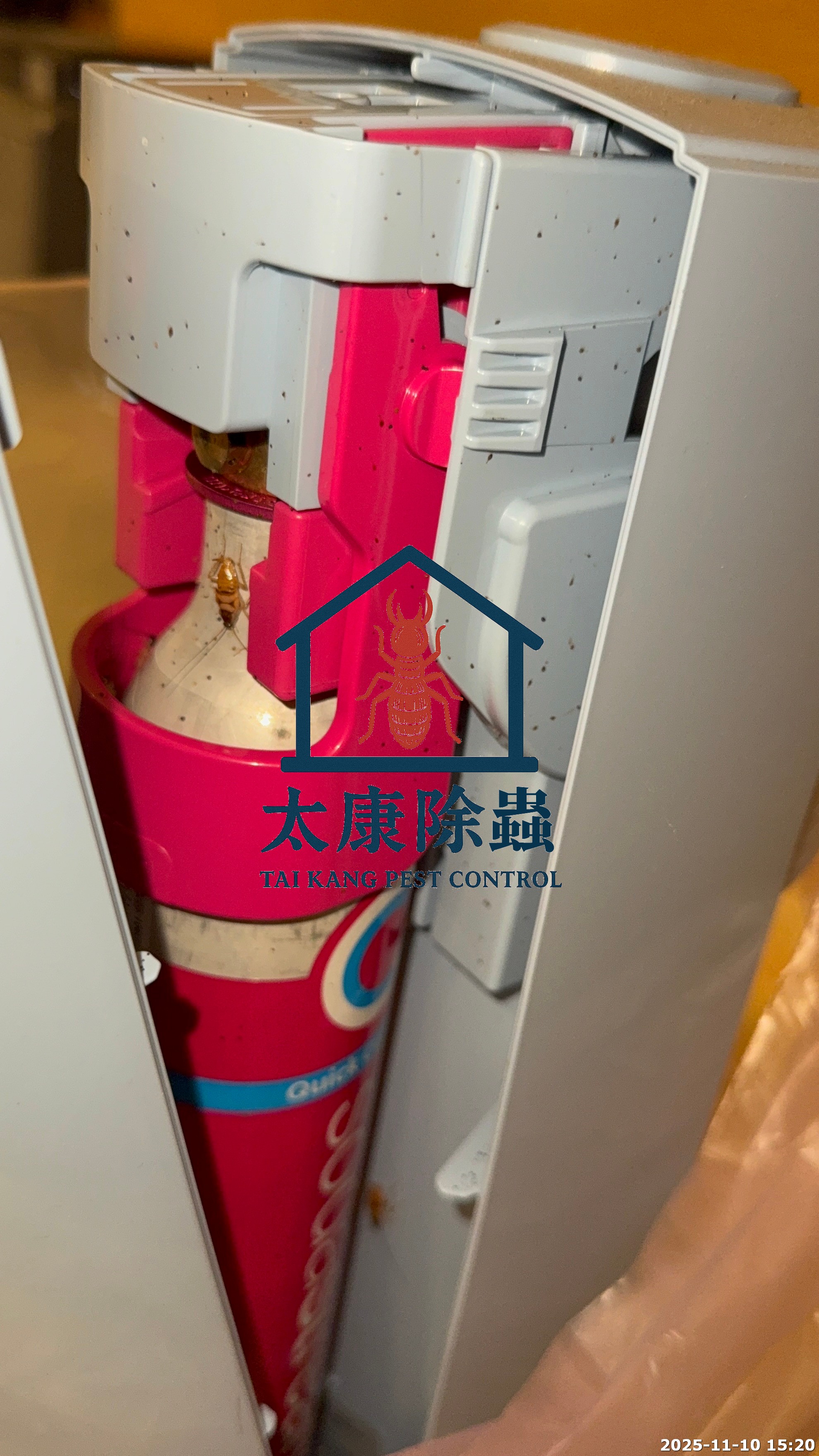 蟑螂常藏於隱蔽的角落和機械內