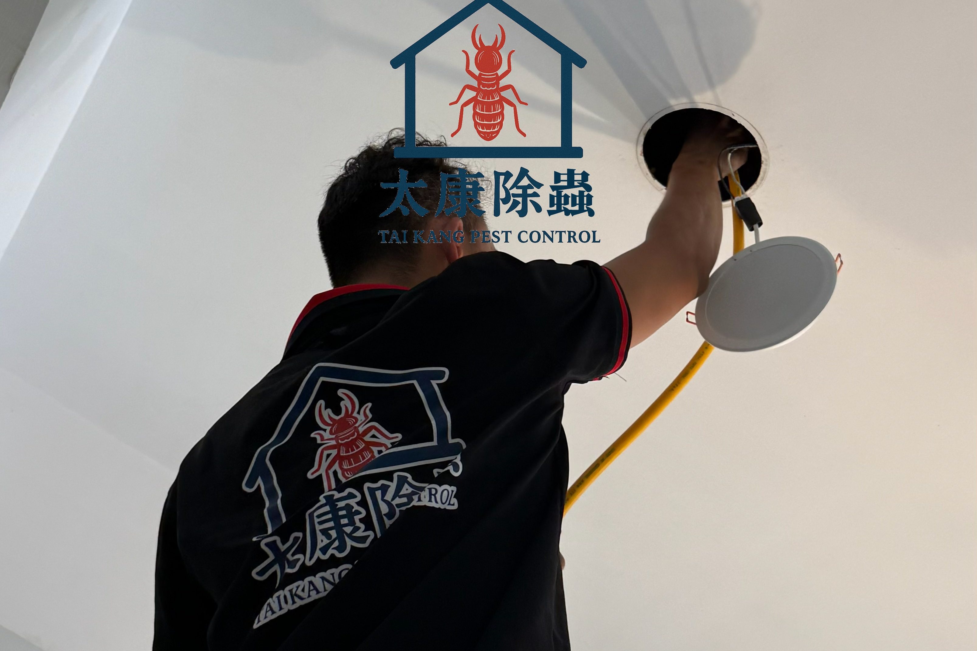 白蟻施工必須細心與經驗才能保證杜絕